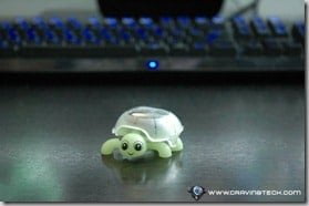 Focalprice solar mini tortoise