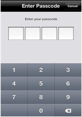 Notebook passcode