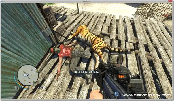Tiger and enemy dead