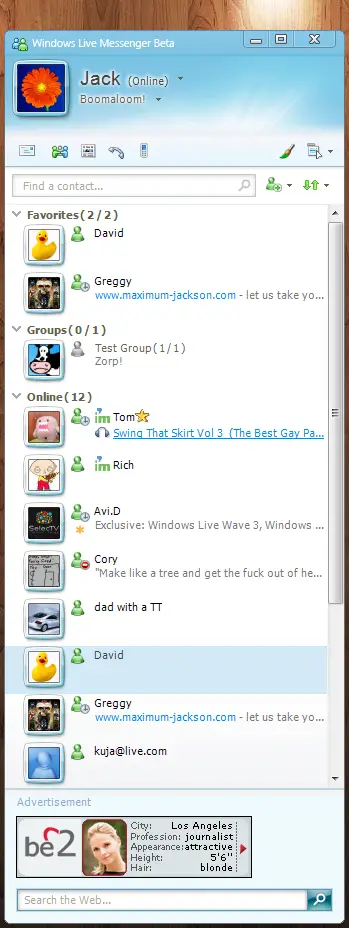 Windows Live Messenger 9 Beta Leak