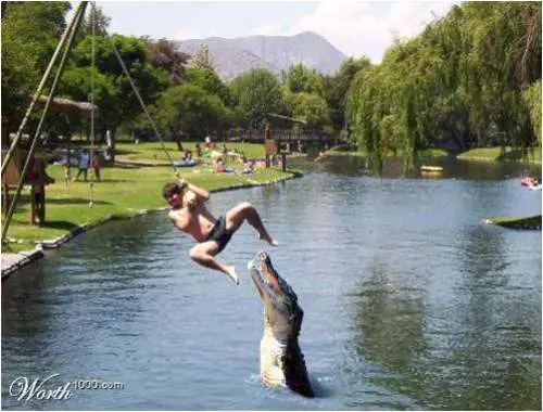 Picture3-500