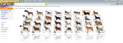 bing visual search