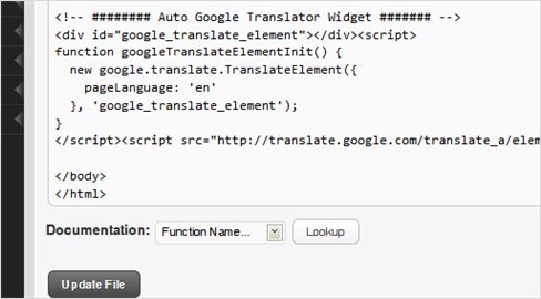 Where to add Google Translator widget code