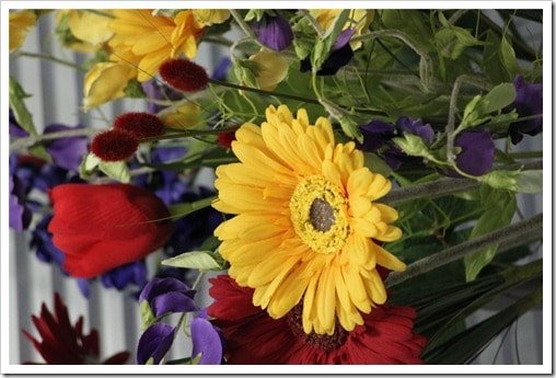 Canon EOS 500D Review - Flower photos