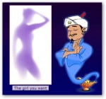 Akinator - The Girl you want