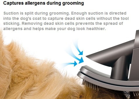 Dyson Groom capture allergens