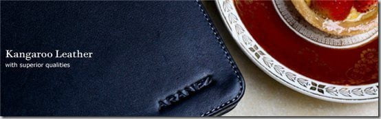 Aranez iPad 2 case