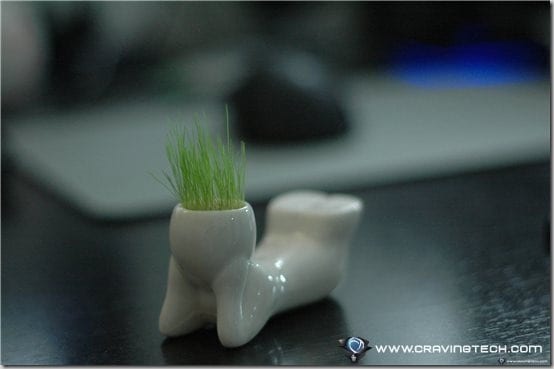 DIY grass