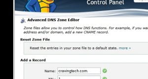 DNS edit information