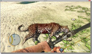 Skin leopard
