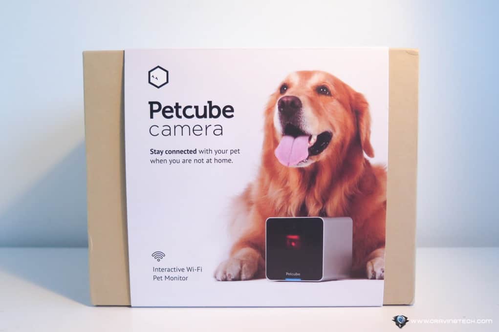 Petcube Review-1