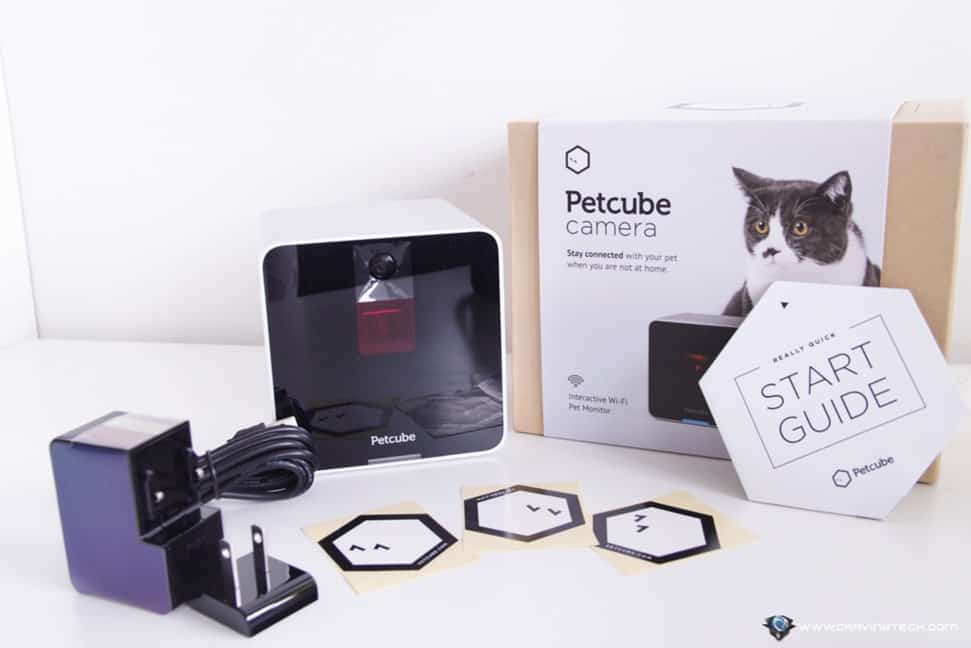 Petcube Review-5