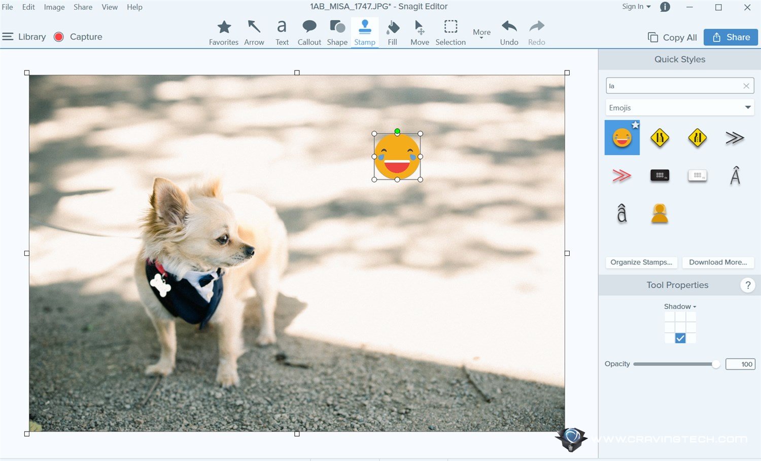 Snagit 2019 Stamp search