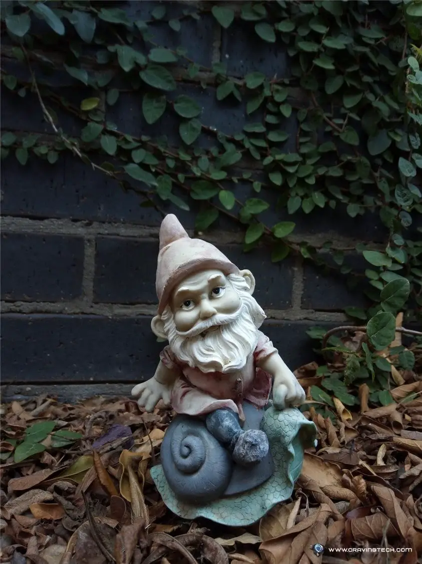 Alcatel 1x - sample photo gnome