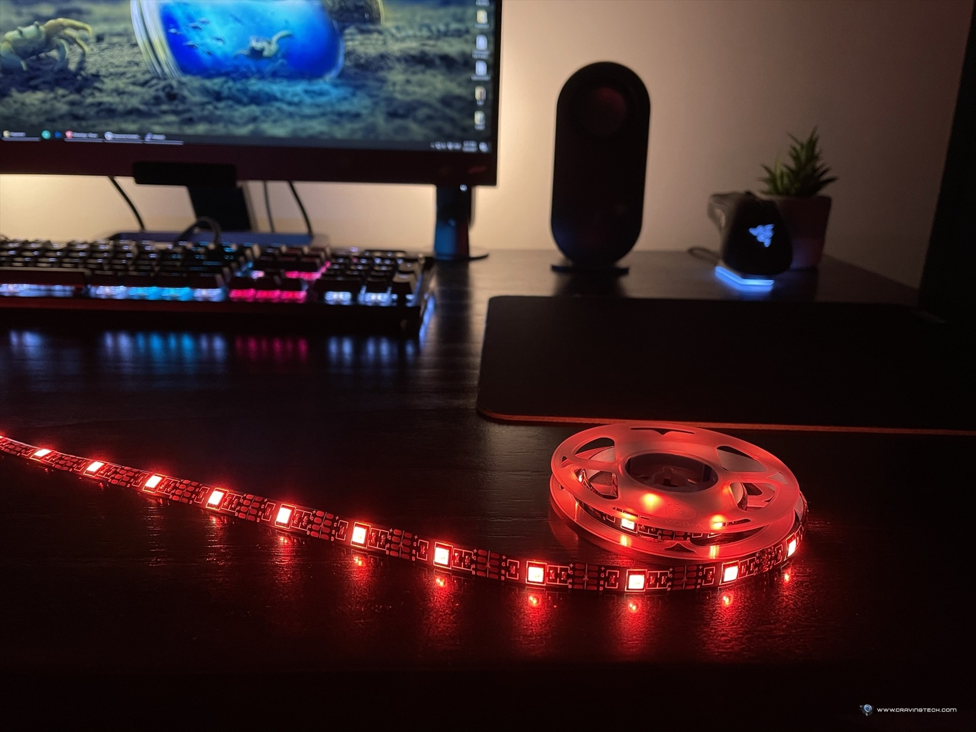 Enhance the mood anywhere with these Connect Smart Fairy Lights & Strip Light
