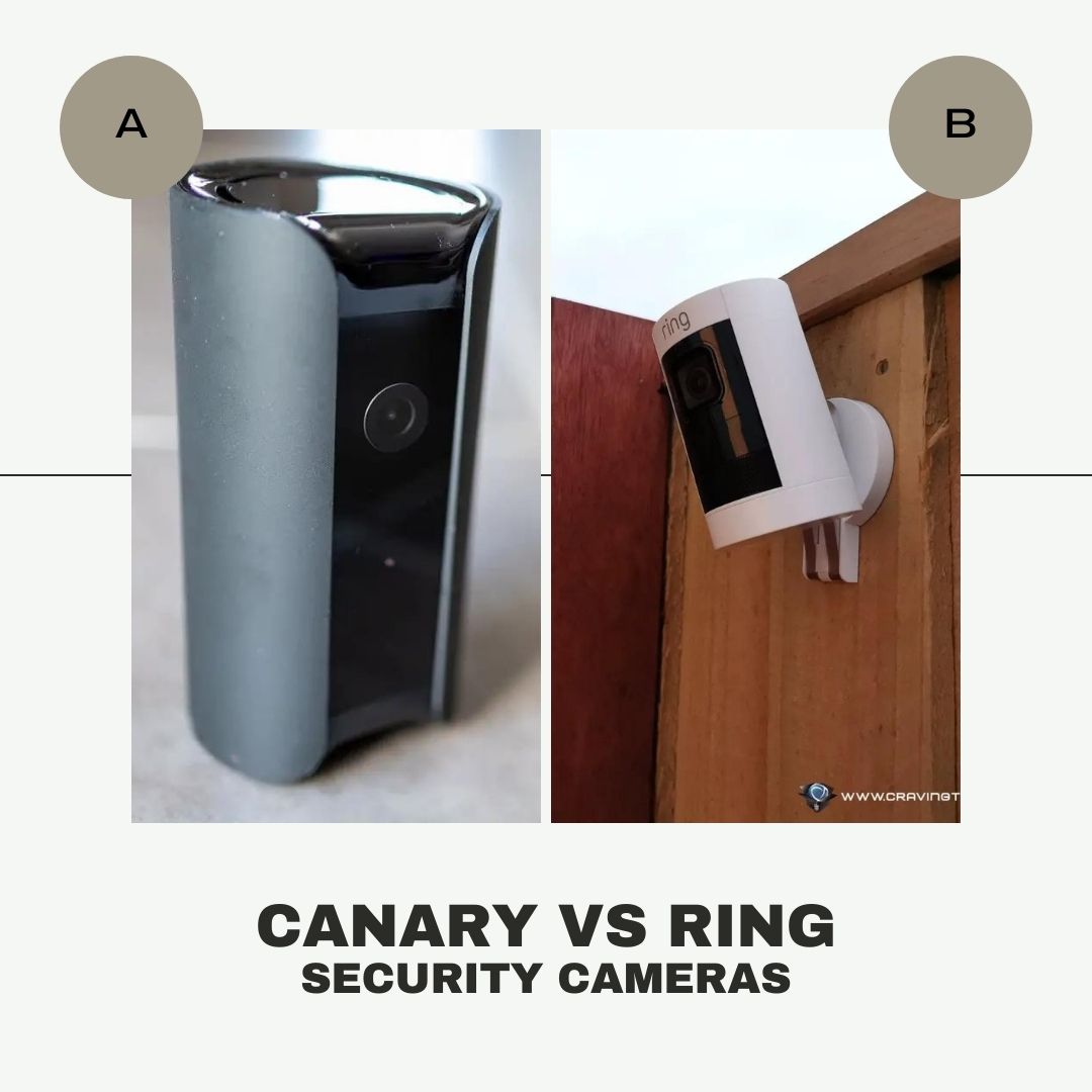 Canary vs Ring Security Camera: Which should I get for my Home?